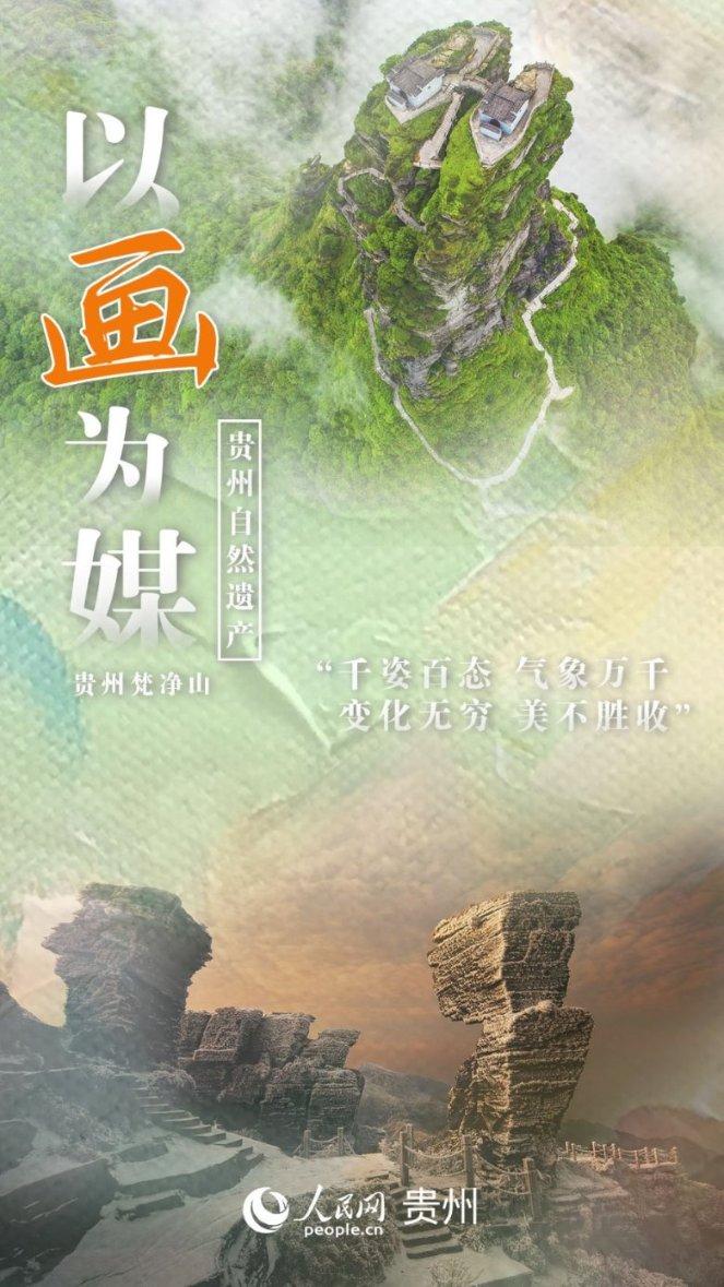 植物大战僵尸17